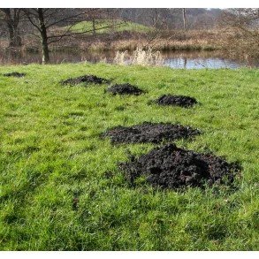 Skadedyrsbekæmpelse