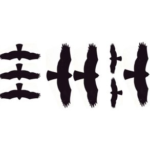 Ark med skrmmefugle - 8 stk