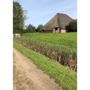 Plakat A2 (40x60cm)  10-