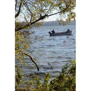 Plakat A1 (60x80 cm)  6-10