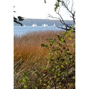 Plakat A1 (60x80 cm)  10-